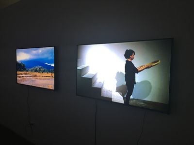 Lyra Garcellano, Tropical Loop (2018). Two-channel video installation. Exhibition view: Art Fair Philippines, Manila (1–4 March 2018). Photo: Stephanie Bailey.