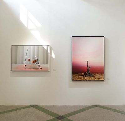 Exhibition view: Jiang Zhi at Hadrien de Montferrand Gallery, Art021, Shanghai (9–12 November 2017). Courtesy Hadrien de Montferrand Gallery, Beijing.