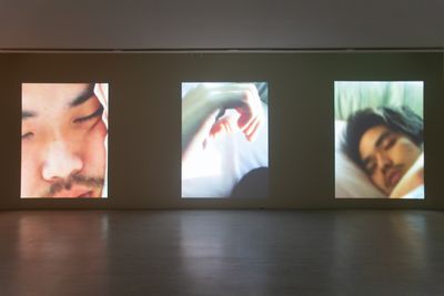 阿彼察邦·韦拉斯哈古，《提牧》，2007。展览现场："阿彼察邦·韦拉斯哈古：狂中之静"，台北市立美术馆，台北（2019年11月30日至2020年3月15日）。图片提供：艺术家与台北市立美术馆。