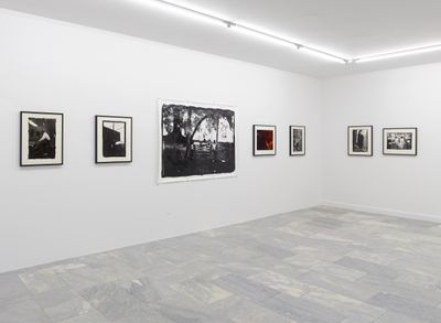 Exhibition view: Arthur Jafa: A Series of Utterly Improbable, Yet Extraordinary Renditions, Julia Stoschek Collection, Berlin (11 February–25 November 2018).