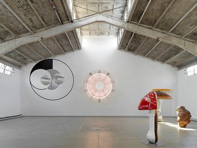 Exhibition view: Carsten Höller: Method, Galleria Continua, Beijing (23 March–2 June 2018).