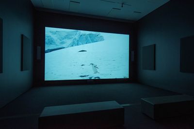 Pierre Huyghe, A Journey That Wasn't (2006). Super 16 mm film and HD video transferred to HD video, colour, sound. Exhibition view: A Journey That Wasn't, The Broad, Los Angeles (30 June 2018–10 February 2019). © Pierre Huyghe.