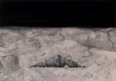 Seçil Büyükkan, Untitled 1 (from the series 'Nosce the Ipsum') ('2018). Ink on non-acidic paper. 96cm x 126 cm.