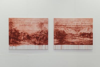 Sandra Gamarra, ‘Red Indian’ (2018). Exhibition view: 80M2 Livia Benavides, Ch.ACO, Chile Arte Contemporaneo, Santiago (22–26 November 2018). Courtesy Ch.ACO.