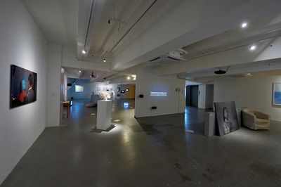 Exhibition view: Group Exhibition, Crush, Para Site, Hong Kong (15 September–25 November 2018). Courtesy the artist and Para Site.