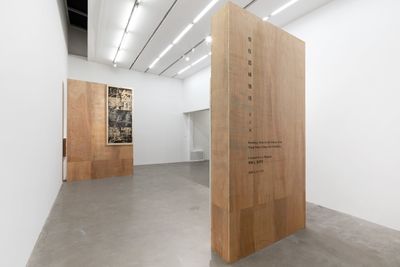 展览现场："不可抗力"，奕来画廊，纽约（2020年1月18日至3月18日）。图片提供：奕来画廊。