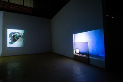 Lee Kit, I didn't know that I was dead (part 4) (2018). Acrylic on fabric, video. Dimensions Variable. © the artist and OCAT Shenzhen.