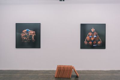 Exhibition view: Julian Abraham 'Togar', Ulah Tanah (Mischievous Earth), Ruci Art Space, Jakarta (16 August–15 September 2019).
