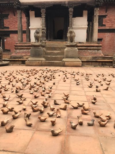Ricardo Brey, Dust Bathing (2017). Exhibition view: Kathmandu Triennale, Patan Museum (24 March–9 April 2017).
