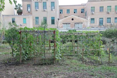 Leone Contini, Foreign Farmers (2018). Mixed media, installation site-specific, performance. Exhibition view: The Planetary Garden. Cultivating Coexistence, Manifesta 12, Palermo (16 June–4 November 2018). Courtesy the artist and Manifesta 12. Photo: Wolfgang Träger.