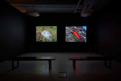 Ana Mendieta, Untitled: Silueta Series (1978); Silueta Sangrienta (1975) (left to right). Exhibition view: Five Artists: Sites Encountered, M+ Pavilion, Hong Kong (7 June–10 October 2019). Courtesy M+, Hong Kong.