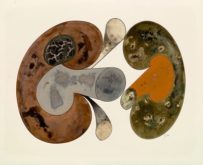 Irving Penn, Aging Mushrooms, New York (1988). Platinum palladium print, ink, watercolour and dry pigment on paper mounted to aluminium. 62.9 x 51.1 cm. Courtesy Pace Gallery. © The Irving Penn Foundation.