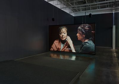 Shen Xin, Provocation of the Nightingale (2017). Exhibition view: Songs for Sabotage, 4th New Museum Triennial, New Museum, New York (13 February–27 May 2018).