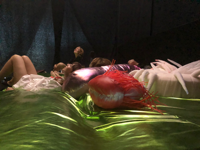 Anne Duk Hee Jordan, Ziggy and the Starfish (2016–18) detail. Video installation, bed, fishnet, pillows, two single-channel HD videos, colour, sound, 16’ 28” and 21’ 01”. Installtion view: 1st Riga Biennial, Everything Was Forever Until It Was No More, (2 June–28 October 2018). Courtesy the artist. Photo: Anne Duk Hee Jordan.