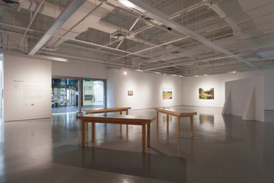 Native revisions, Exhibition view, Institute of Contemporary Arts Singapore, LASALLE College of the Arts (11 February–12 April 2017). Photo: Geraldine Kang.