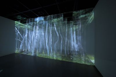 Sang-Hwa Park, Mudeung Fantasia 2 (2017). Single channel video installation, mesh screen. 430 x 700 x 400 cm. Exhibition view: Arena, Taipei Fine Arts Museum, Taipei (8 July–17 September 2017).