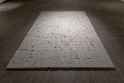 Shilpa Gupta, The markings we have made on this land have increased the distance so much (2019). Exhibition view: TarraWarra International 2019: The Tangible Trace, TarraWarra Museum of Art, Tarrawarra (8 June–September 2019). Courtesy the artist and Galleria Continua, San Gimignano, Beijing, Les Moulins, Habana. Photo: Andrew Curtis.
