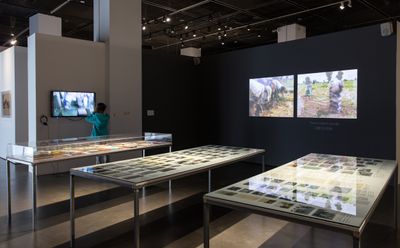 Raphaël Grisey and Bouba Touré, Sowing Somankidi Coura, A Generative Archive (2015–ongoing). Exhibiton view: Starting from the Desert: Ecologies on the Edge, 2nd Yinchuan Biennale, MOCA Yinchuan (9 June–30 September 2018). Courtesy MOCA Yinchuan.