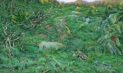 Print by artist Won Seoung Won depicting grassy landscape of green foliate with fallen thin trees and branches in a wilderness
