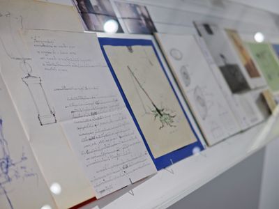 Close-up photo of an archive featuring prints and workbook pages by Thai artist Montien Boonma.