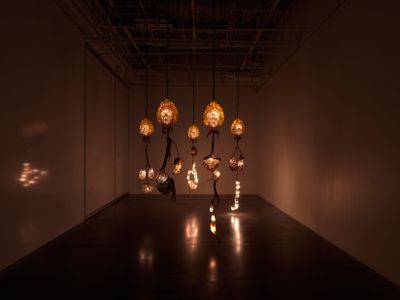 Six illuminated hanging head sculptures with roots in dim exhibition space