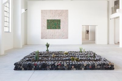 Floor installation showing cacti growing on stacks of rolled up clothing in front of green and white wall piece. 