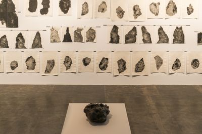 A meteorite positioned on the floor is positioned in front of a series of black and white drawings by Carmela Gross on the wall behind.