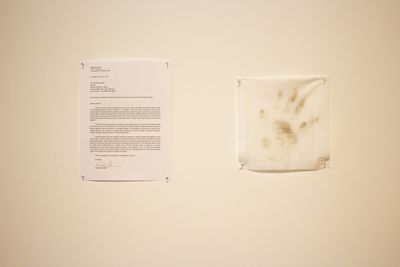 Gala Porras-Kim, Proposal for Luzia (2021). Printed ink on paper and napkin. Commissioned by Fundação Bienal de São Paulo for the 34th Bienal. Exhibition view: Though it's dark, still I sing, 34th Bienal de São Paulo, São Paulo (4 September–5 December 2021). © Giovanna Querido /Fundação Bienal de São Paulo.