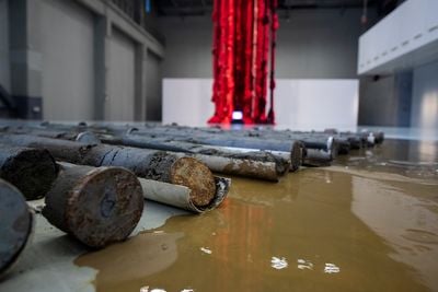 Carlos Irijalba, Amphibia (2021). Exhibition view: Bodies of Water, 13th Shanghai Biennale, Shanghai (17 April–25 July 2021).