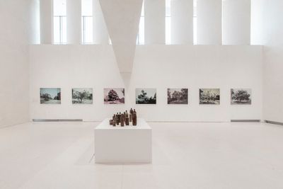 Seven photographs in varying hues of blue, purple, and yellow feature trees and outdoors landscapes, hanging on a wall in the background. In the foreground, a pedestal sits beneath a series of metallic bottles placed at varying heights.