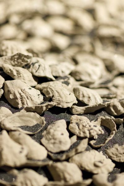 Megan Cope, RE FORMATION (Part I) (2016) (detail). 1800 hand-made concrete shells lodged in black mineral sand. Dimension variable. Exhibition view: 경로를 재탐색합니다 UN/LEARNING AUSTRALIA, Seoul Museum of Art (14 December 2021–6 March 2022). Ⓒ Seoul Museum of Art.
