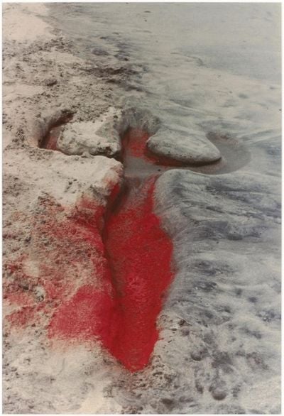 Ana Mendieta, Untitled (1976). From the 'Silueta Works in Mexico' series (1973–1977). Colour photograph. Edition of 20 + 4 AP. 50.8 x 40.6 cm. The Museum of Contemporary Art, Los Angeles. Purchase with grant provided by The Judith Rothschild Foundation. The Estate of Ana Mendieta Collection, LLC.
