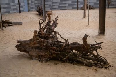 Emmanuel Tussore, De Cruce (2022) (detail). Installation. Wood, metal, and sand. Dimensions variable. Exhibition view: Ĩ NDAFFA # – Forger – Out of the fire, Dakar Biennale 2022 (19 May–21 June 2022).