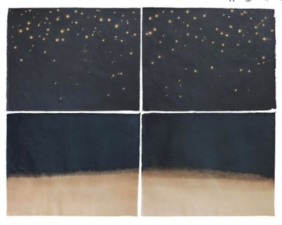 Celine Lee, Bodies (2020). Chlorine granules, water, bleach solution on dyed 90gsm Abaca Paper. 60.96 x 76.2 cm (each).
