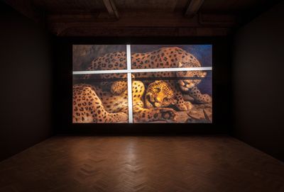 Amie Siegel, Bloodlines (2022). 4K video, colour/sound. 82 min. Exhibition view: Bloodlines, Thomas Dane Gallery, London (27 April–23 July 2022).