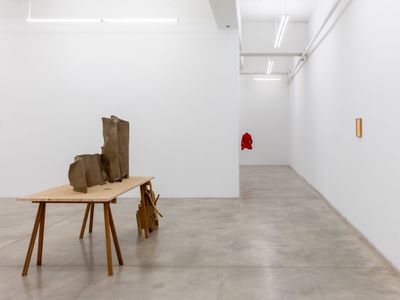 Exhibition view: Chung Seoyoung, With no Head nor Tail, Tina Kim Gallery, New York (21 March–20 April 2024).