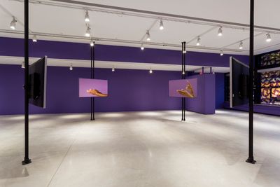 Martine Syms: Borrowed Lady. Installation view, Audain Gallery, 2016. Photo: Blaine Campbell.