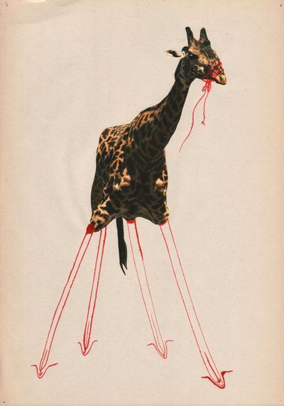Eva Koťátková, from the series ‘Lenka (Unlearning Instinct)’ (2023). Mixed media on paper.
