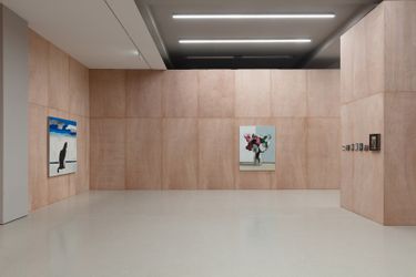 Exhibition view: Liu Xiaohui, Hibiscus, White Space, Shunyi (25 February–3 May 2023). Courtesy White Space.