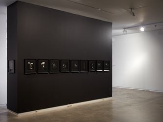 Exhibition view: Joyce Campbell, As it falls, Two Rooms, Auckland (5 September–10 October 2020). Courtesy Two Rooms.