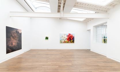 Exhibition view: Thomas Wrede, Sceneries, Beck & Eggeling International Fine Art, Düsseldorf (9 March–10 May 2019). Courtesy Beck & Eggeling International Fine Art.