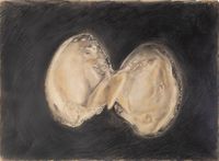 Open Shell by Fay Ming contemporary artwork works on paper, drawing