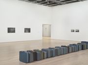 Zoe Leonard Transcends Time at the Whitney Museum