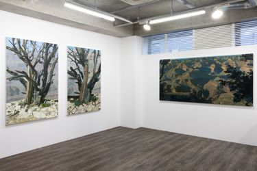 Installation view from L’Appel du Vide by Jason Bereswill