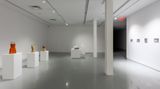 Contemporary art exhibition, Michael Joo, Sensory Meridian at Kavi Gupta, Elizabeth St, Chicago, United States