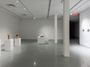 Contemporary art exhibition, Michael Joo, Sensory Meridian at Kavi Gupta, Elizabeth St, Chicago, United States