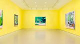 Contemporary art exhibition, Guy Yanai, Guy Yanai at Miles McEnery Gallery, 520 West 21st Street, New York, United States