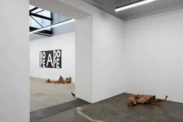 Threshold of things, 2023 (installation view) Courtesy of 1301SW, Melbourne