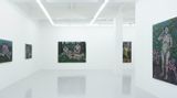 Contemporary art exhibition, Johanna Helmuth, Everything Enthralling at Ames Yavuz, Singapore