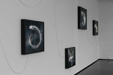 Contemporary art exhibition, Amos Gebhardt, In memory of stars at Tolarno Galleries, Melbourne, Australia